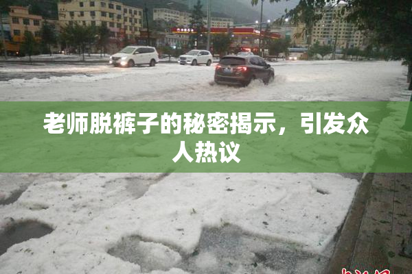 老师脱裤子的秘密揭示，引发众人热议