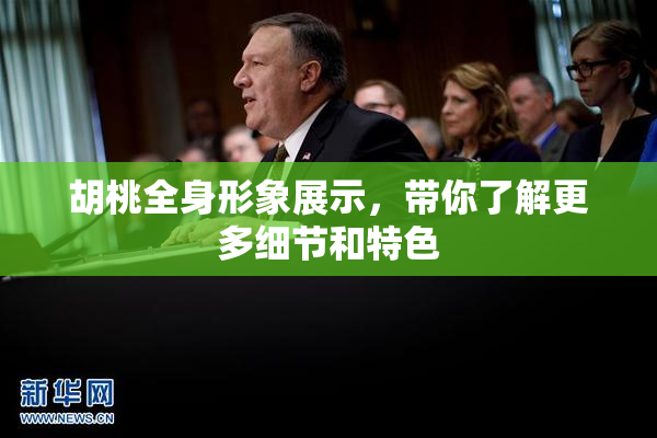 胡桃全身形象展示，带你了解更多细节和特色
