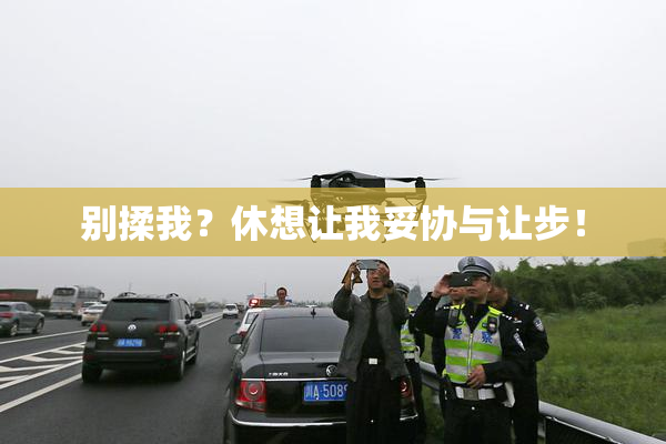 别揉我？休想让我妥协与让步！