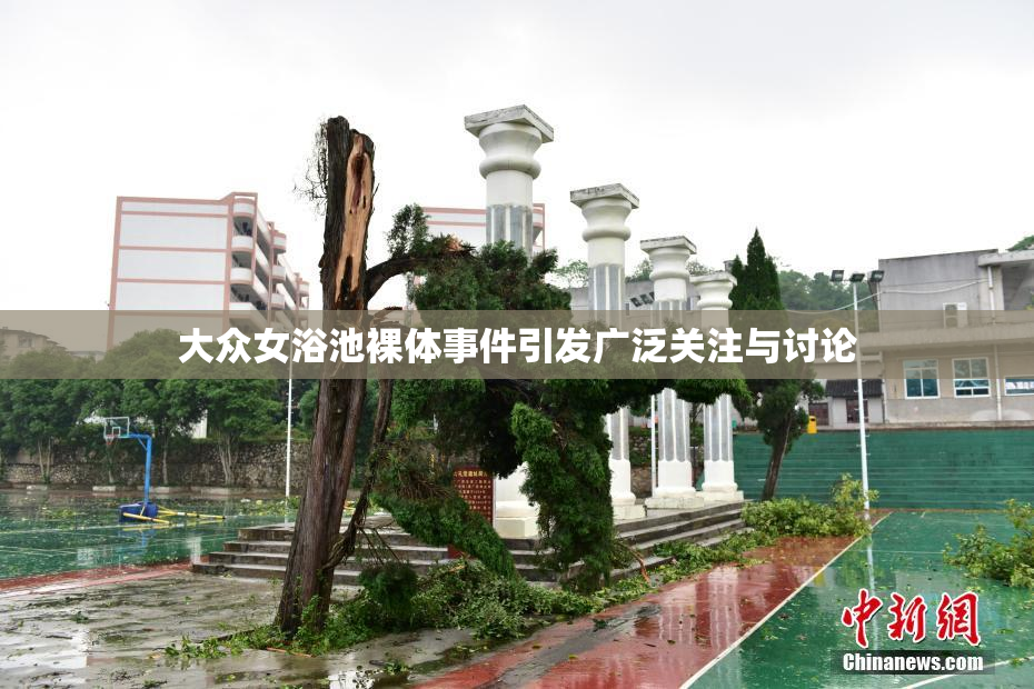 大众女浴池裸体事件引发广泛关注与讨论