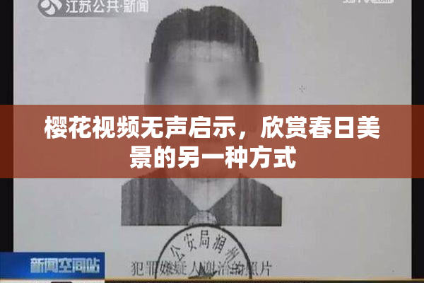 樱花视频无声启示，欣赏春日美景的另一种方式