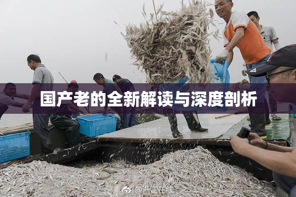 国产老的全新解读与深度剖析