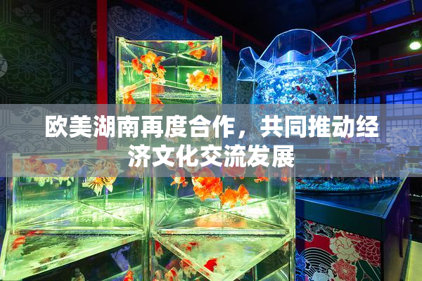 欧美湖南再度合作，共同推动经济文化交流发展