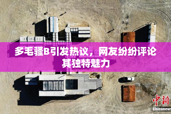 多毛骚B引发热议，网友纷纷评论其独特魅力