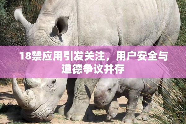18禁应用引发关注，用户安全与道德争议并存