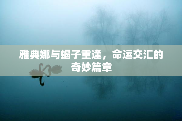 雅典娜与蝎子重逢，命运交汇的奇妙篇章