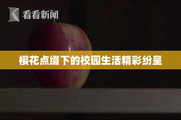 樱花点缀下的校园生活精彩纷呈