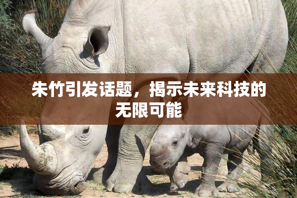朱竹引发话题，揭示未来科技的无限可能
