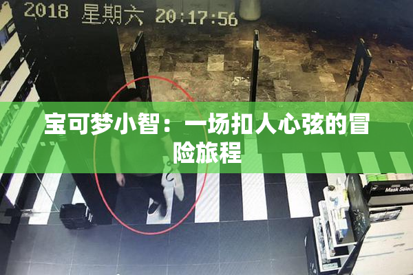 宝可梦小智：一场扣人心弦的冒险旅程