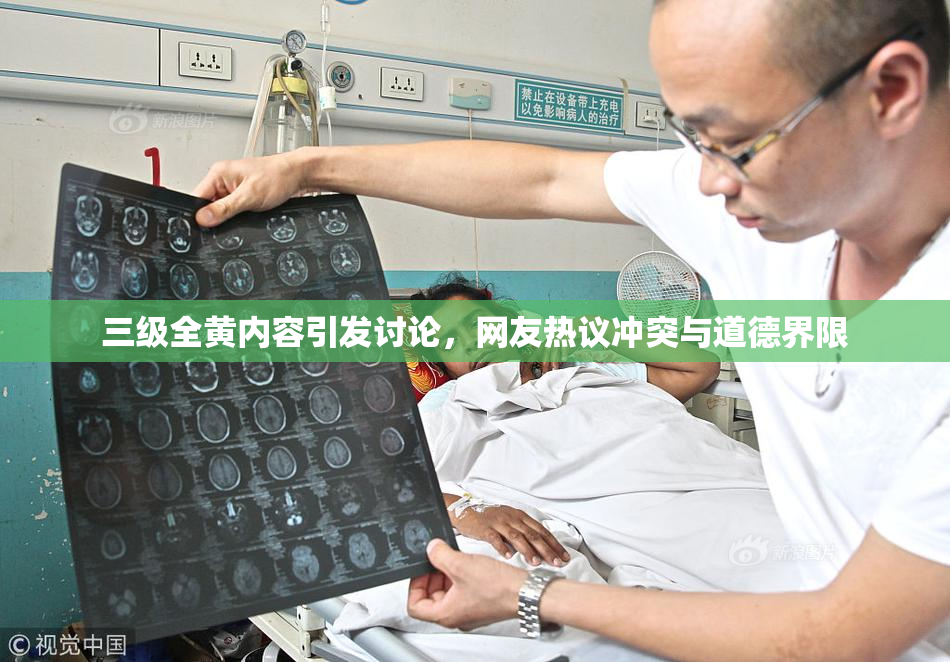 三级全黄内容引发讨论，网友热议冲突与道德界限