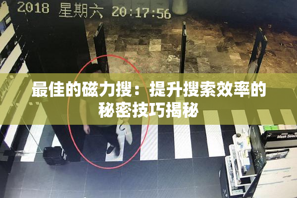 最佳的磁力搜：提升搜索效率的秘密技巧揭秘