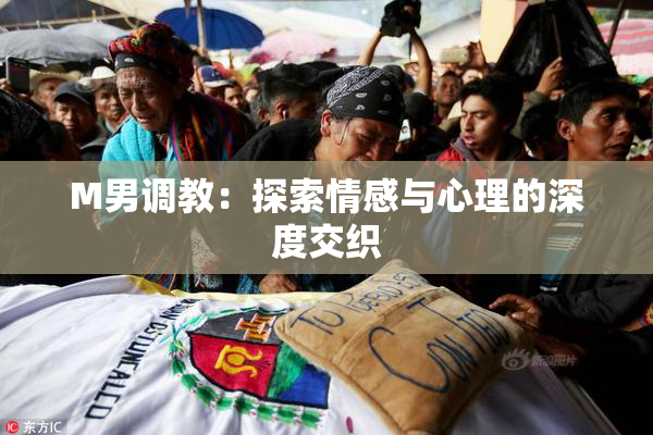 M男调教：探索情感与心理的深度交织