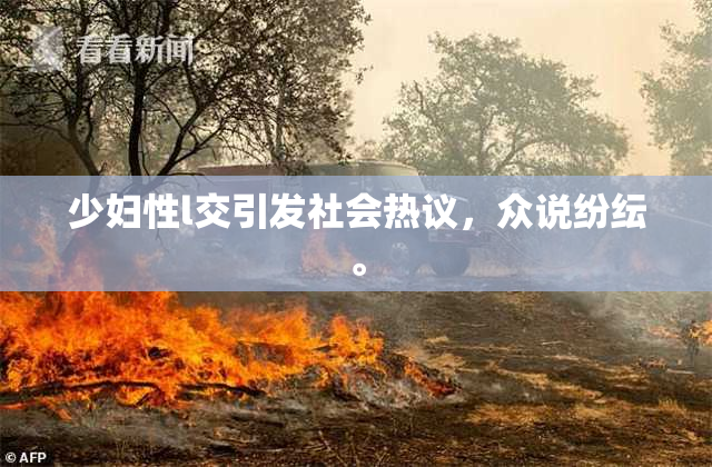 少妇性l交引发社会热议，众说纷纭。