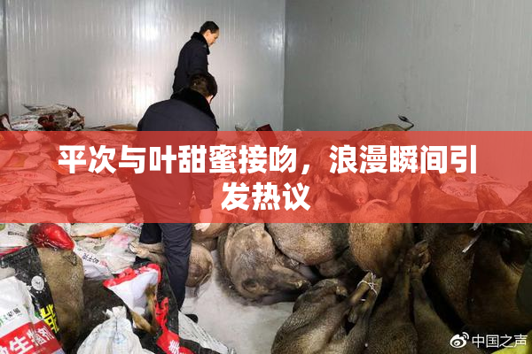 平次与叶甜蜜接吻，浪漫瞬间引发热议