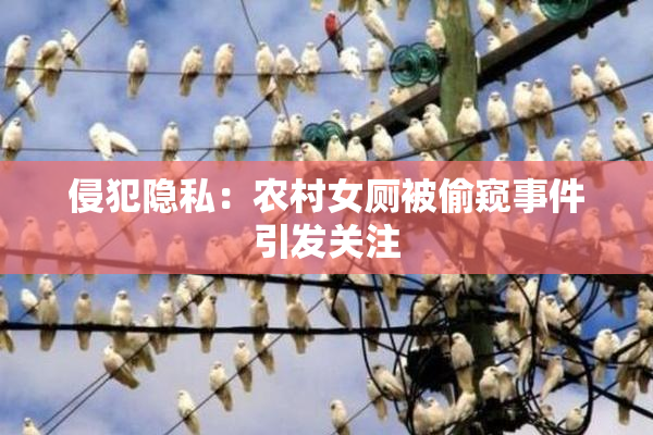 侵犯隐私：农村女厕被偷窥事件引发关注