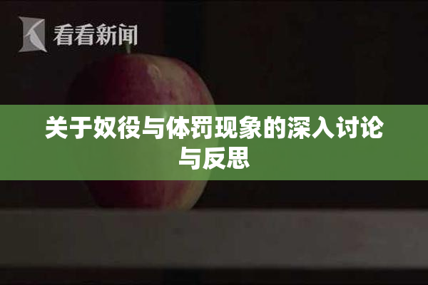 关于奴役与体罚现象的深入讨论与反思