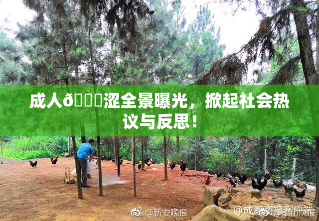 成人🔞涩全景曝光，掀起社会热议与反思！