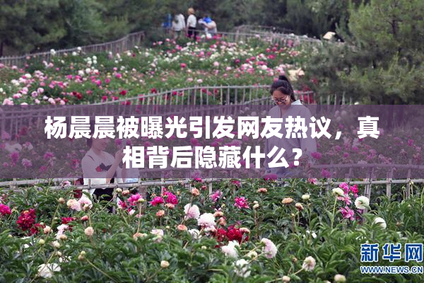 杨晨晨被曝光引发网友热议，真相背后隐藏什么？