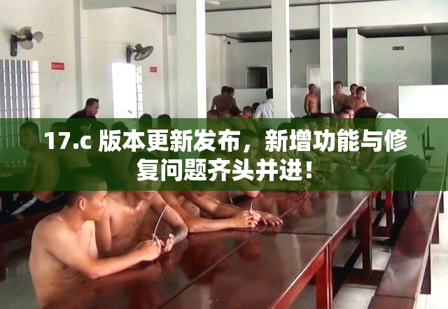 17.c 版本更新发布，新增功能与修复问题齐头并进！