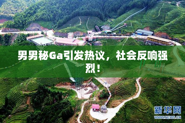 男男秘Ga引发热议，社会反响强烈！