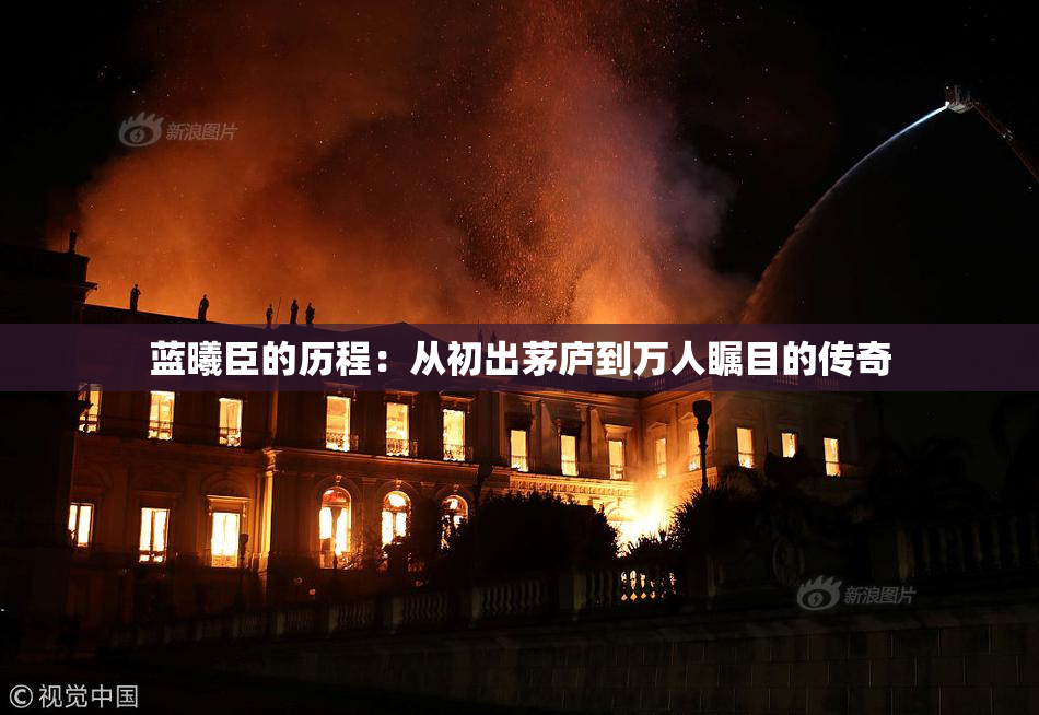 蓝曦臣的历程：从初出茅庐到万人瞩目的传奇