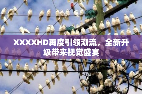 XXXXHD再度引领潮流，全新升级带来视觉盛宴