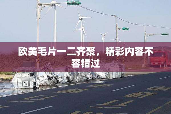 欧美毛片一二齐聚，精彩内容不容错过