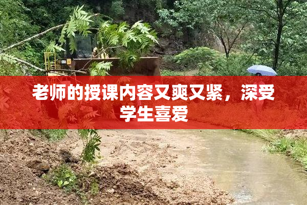 老师的授课内容又爽又紧，深受学生喜爱