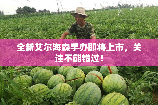 全新艾尔海森手办即将上市，关注不能错过！