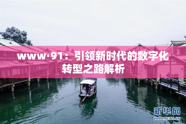 www·91：引领新时代的数字化转型之路解析