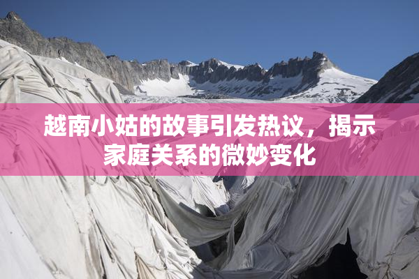 越南小姑的故事引发热议，揭示家庭关系的微妙变化