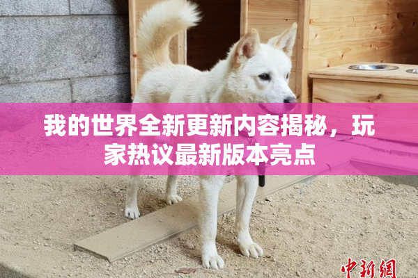 我的世界全新更新内容揭秘，玩家热议最新版本亮点