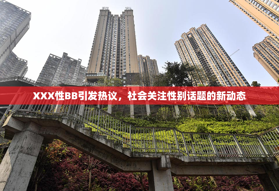 XXX性BB引发热议，社会关注性别话题的新动态