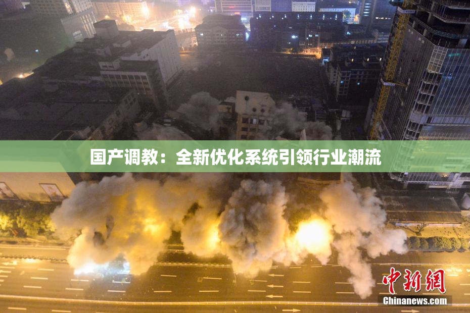 国产调教：全新优化系统引领行业潮流