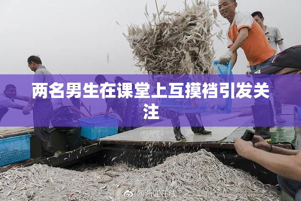 两名男生在课堂上互摸裆引发关注