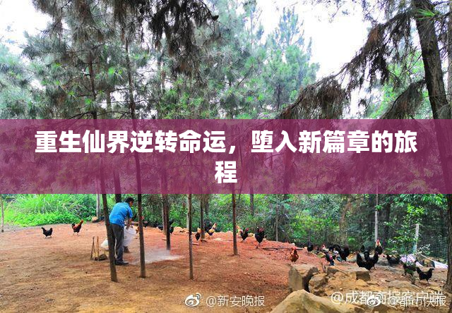 重生仙界逆转命运，堕入新篇章的旅程