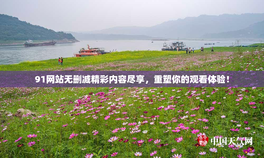 91网站无删减精彩内容尽享，重塑你的观看体验！