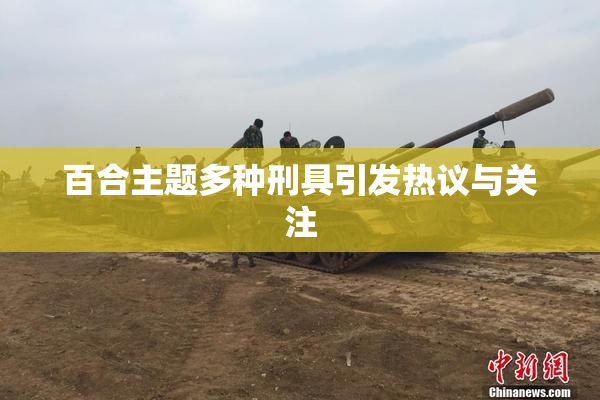 百合主题多种刑具引发热议与关注