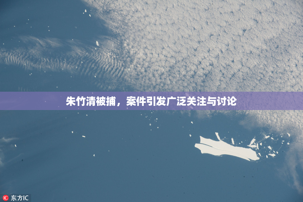 朱竹清被捕，案件引发广泛关注与讨论