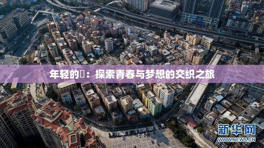 年轻的妺：探索青春与梦想的交织之旅
