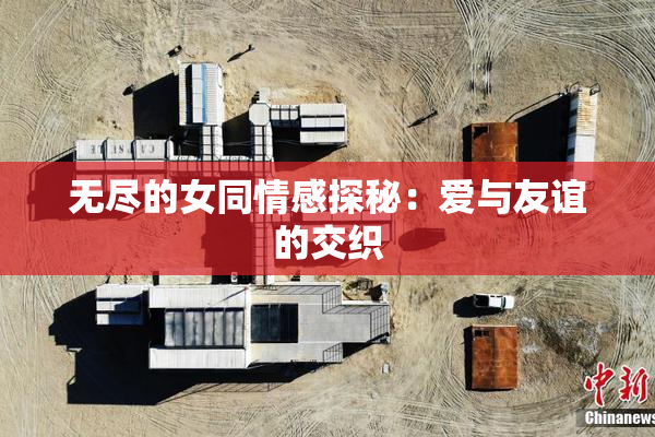 无尽的女同情感探秘：爱与友谊的交织