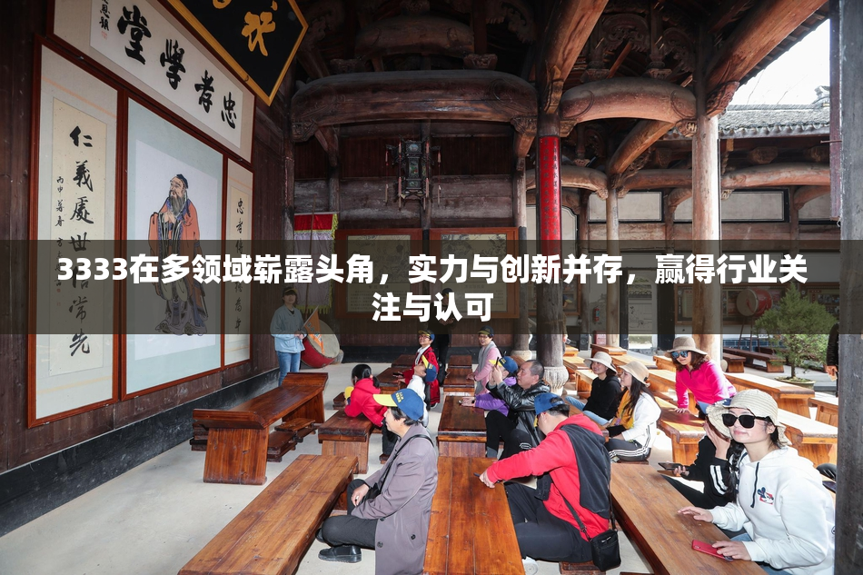 3333在多领域崭露头角，实力与创新并存，赢得行业关注与认可