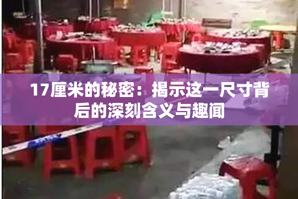 17厘米的秘密：揭示这一尺寸背后的深刻含义与趣闻