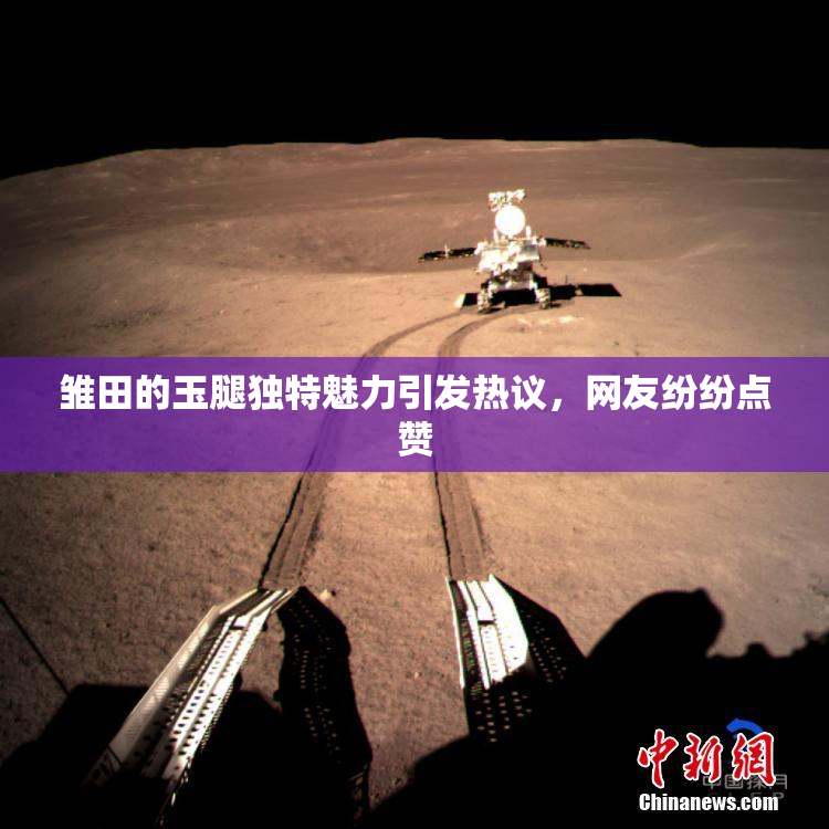 雏田的玉腿独特魅力引发热议，网友纷纷点赞