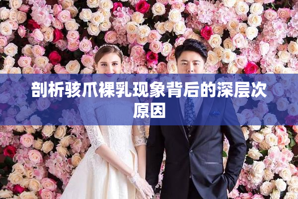 剖析骇爪裸乳现象背后的深层次原因