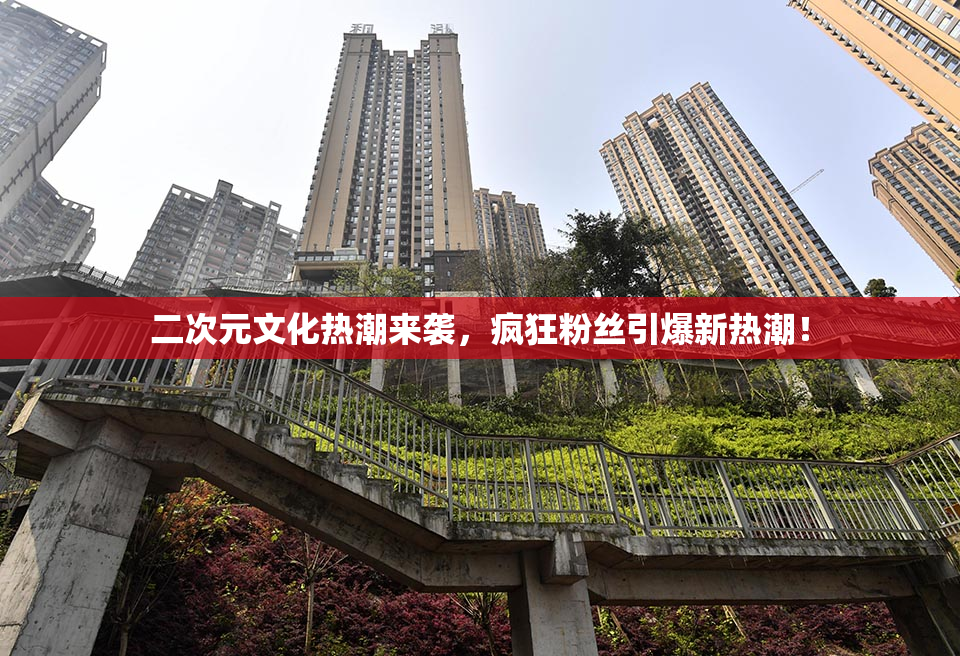 二次元文化热潮来袭，疯狂粉丝引爆新热潮！