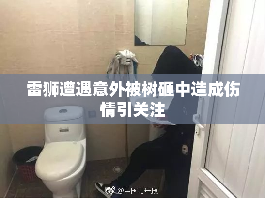 雷狮遭遇意外被树砸中造成伤情引关注