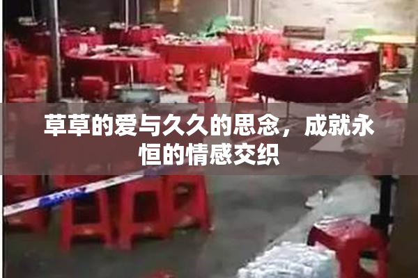 草草的爱与久久的思念，成就永恒的情感交织