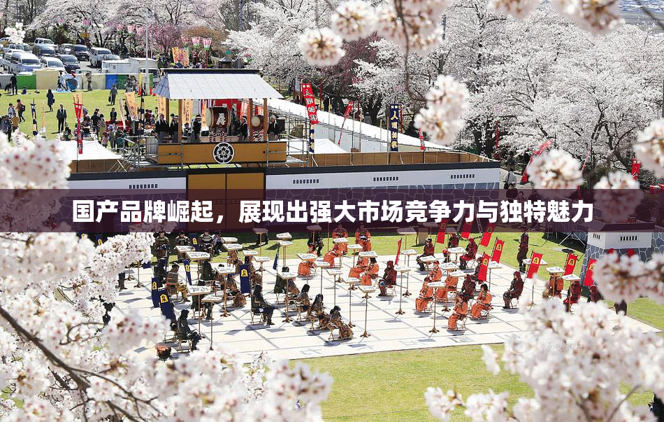 国产品牌崛起，展现出强大市场竞争力与独特魅力