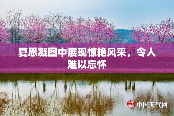 夏思凝图中展现惊艳风采，令人难以忘怀